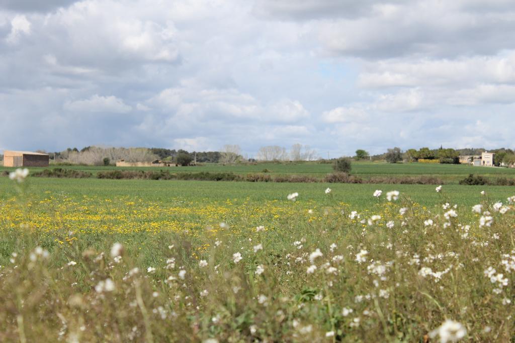 Verges Allotjament Bora Bora Emporda Girona 아파트 외부 사진